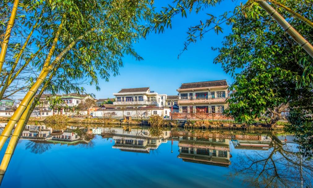 秀洲这个村，文旅火出圈！